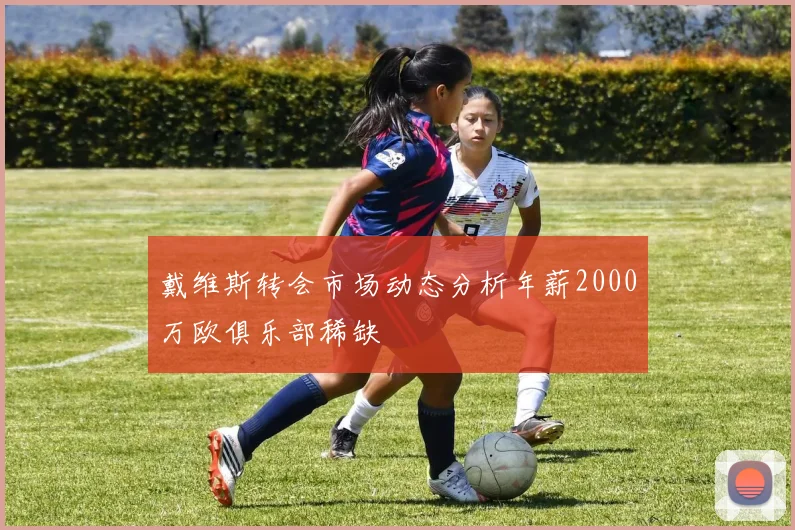 戴维斯转会市场动态分析年薪2000万欧俱乐部稀缺