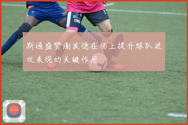 斯通盛赞谢泼德在场上提升球队进攻表现的关键作用